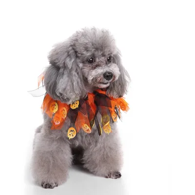 Pet christmas hat bib Orange Black - Shop at LoveMi