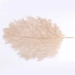 Golden Coral Leaf