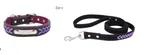Stainless Steel Iron Dog Collar with Laser Lettering - Purple