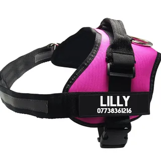 Pet Chest Harness Dog Leash Pet Supplies - Purple
