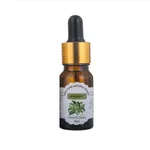 Bergamot
