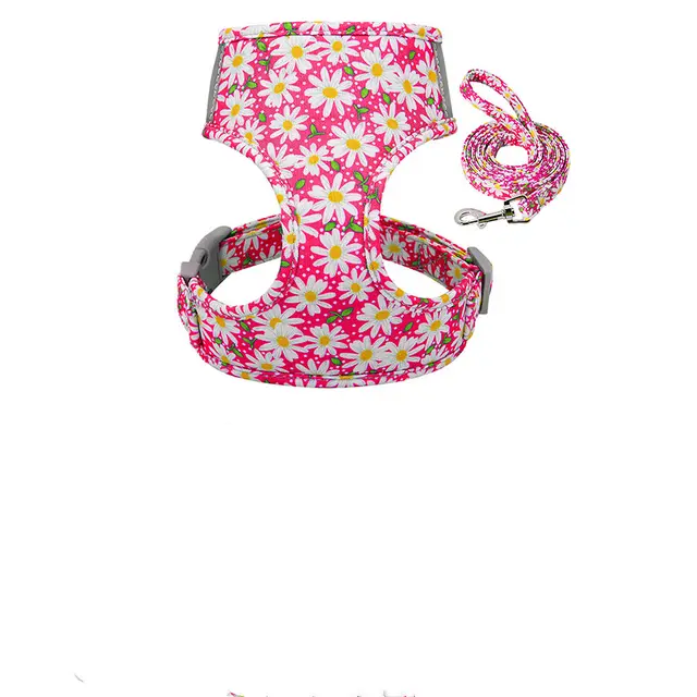 Collar and chest strap Pink - Shop at LoveMi