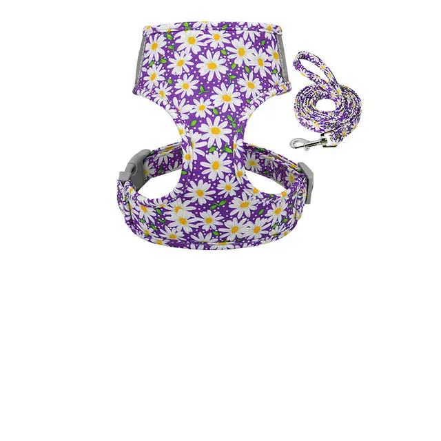 Collar and chest strap Purple - Shop at LoveMi
