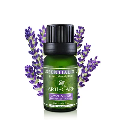 ARTISCARE Lavender Essential Oil Lavender - Shop at LoveMi