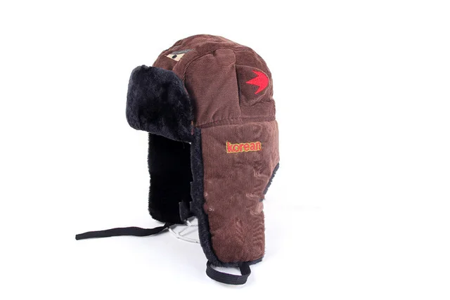 Winter Embroidered Lei Feng Hat Coffee - Shop at LoveMi