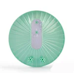 Macaron Green