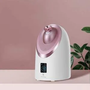 Double spray nano sprayer Pink Small - Shop at LoveMi