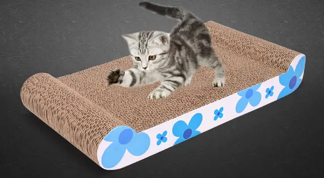Pet toy cat paw board Blue - Shop at LoveMi