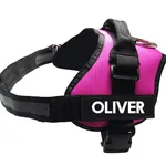 Pet Chest Harness Dog Leash Pet Supplies - Red