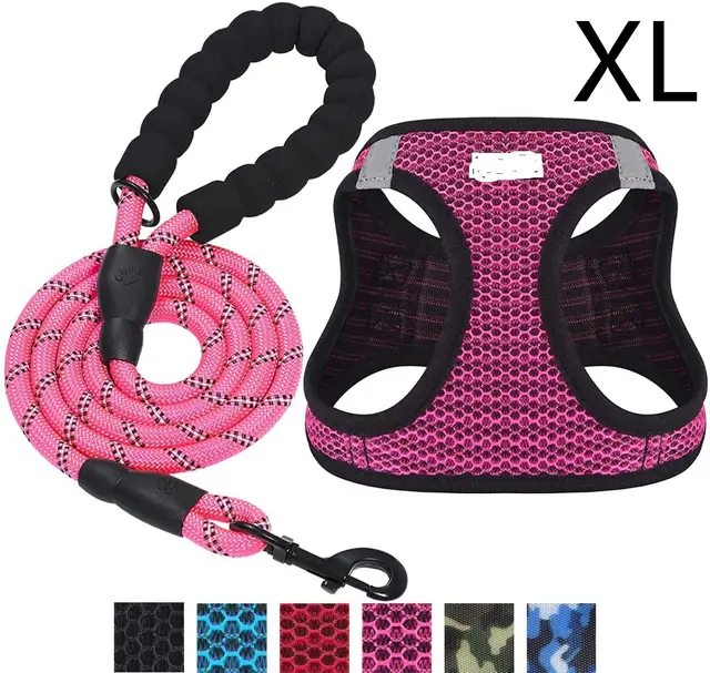 Reflective dog leash Pink Xl - Shop at LoveMi