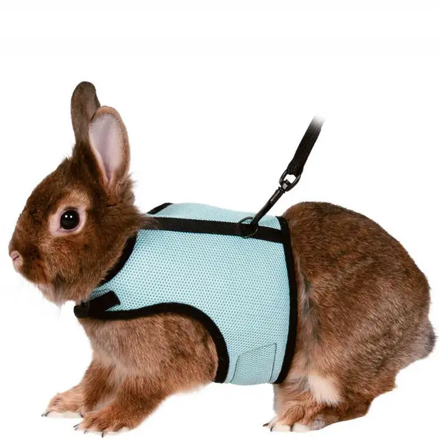 Bunny clothes leash Blue - Shop at LoveMi