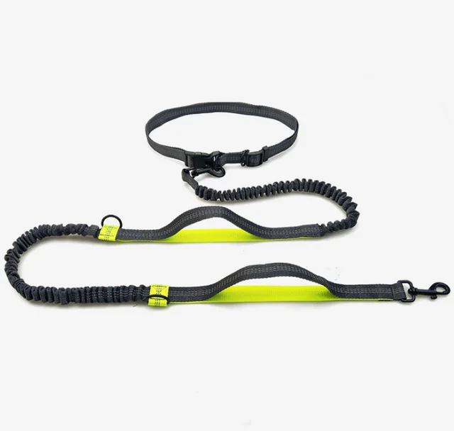 direct pet supplies multi function running reflective pull dog leash double elastic dog leash traction Black Fluorescent Green - Shop at LoveMi