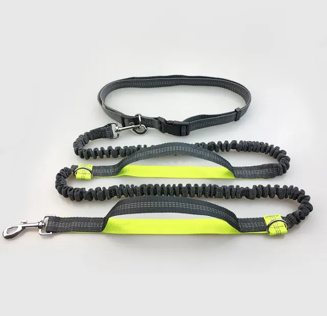 direct pet supplies multi function running reflective pull dog leash double elastic dog leash traction Fluorescent Green - Shop at LoveMi