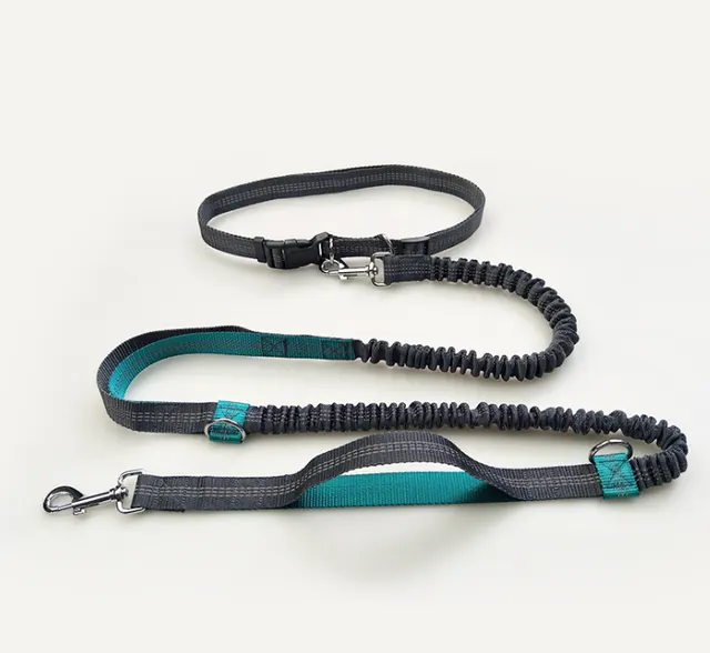 direct pet supplies multi function running reflective pull dog leash double elastic dog leash traction Green - Shop at LoveMi