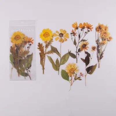 Weekend Flowers Deco Stickers Scrapbooking Styling Bullet Journal Toy Deco Album DIY Stationery Stickers 4Style - Shop at LoveMi