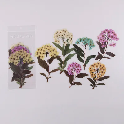 Weekend Flowers Deco Stickers Scrapbooking Styling Bullet Journal Toy Deco Album DIY Stationery Stickers 6Style - Shop at LoveMi