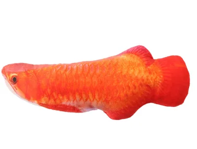 Creative Catnip Fish Pet Plush Toy Fish Cat Pillow 8 - Shop at LoveMi