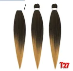 T1B 27