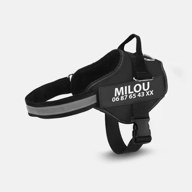 Multicolor Fashionable Personalized Pet Traction Rope Black - Shop at LoveMi