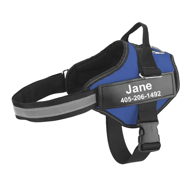 Multicolor Fashionable Personalized Pet Traction Rope Blue - Shop at LoveMi