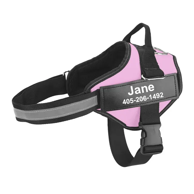 Multicolor Fashionable Personalized Pet Traction Rope Pink - Shop at LoveMi