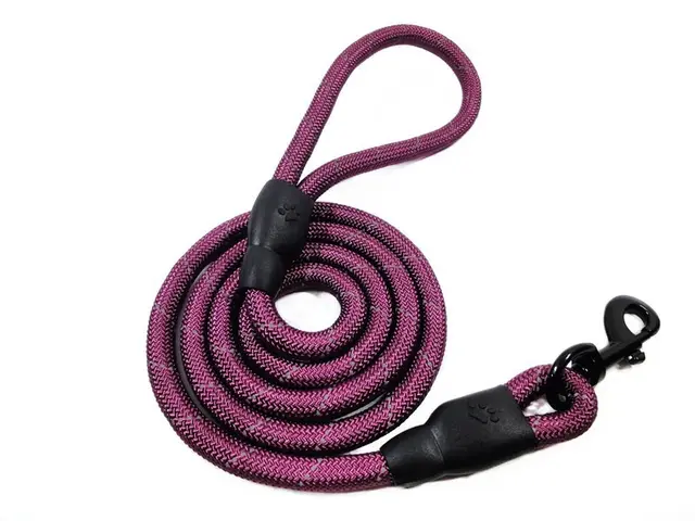 Training Rope Belt Leashes Purple - Shop at LoveMi