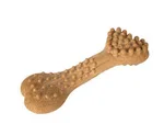 Toothbrush Bone