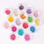 16Pcs