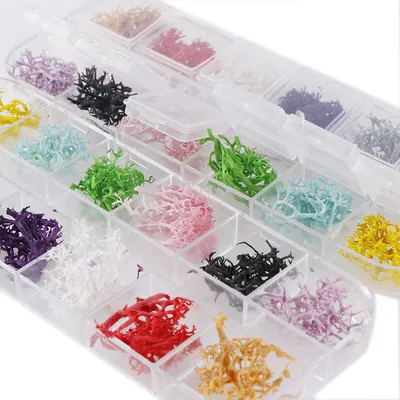 12 Box Box Nail Dry Flower Jewelry - Shop at LoveMi