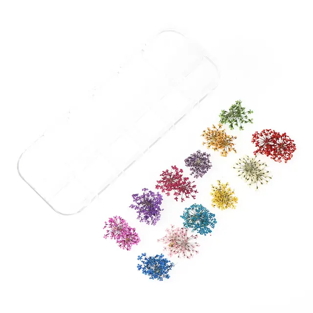 12 Box Box Nail Dry Flower Jewelry J - Shop at LoveMi