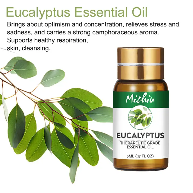 Beauty Aromatherapy Essential Oil Eucalyptus Essential Oil - Shop at LoveMi