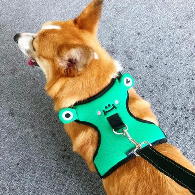 Dog''s chest and back with traction rope, dog''s back with lovely vest type walking dog explosion proof small dog collar With Rope - Shop at LoveMi