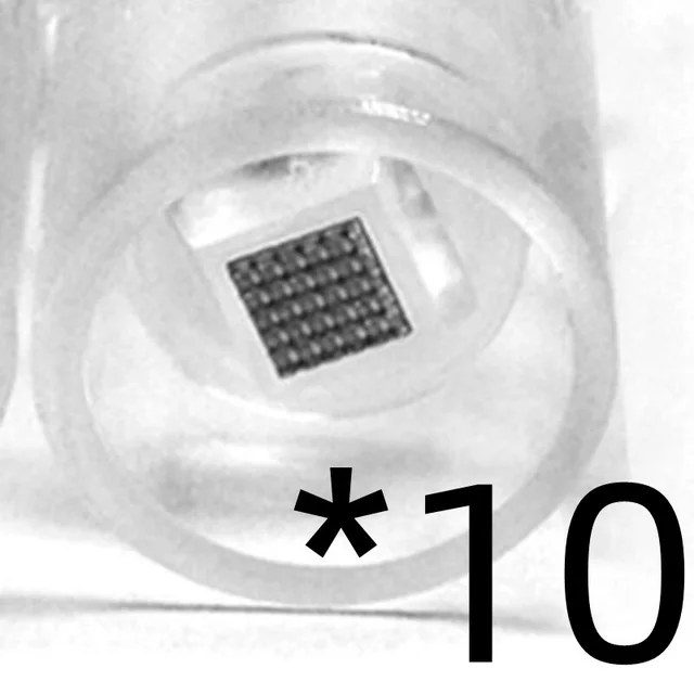 Microneedle Needle Electric Microneedle Needle Needle Needle Electric Microneedle Nano silicon Wafer 10Pcs Wafer Screw - Shop at LoveMi