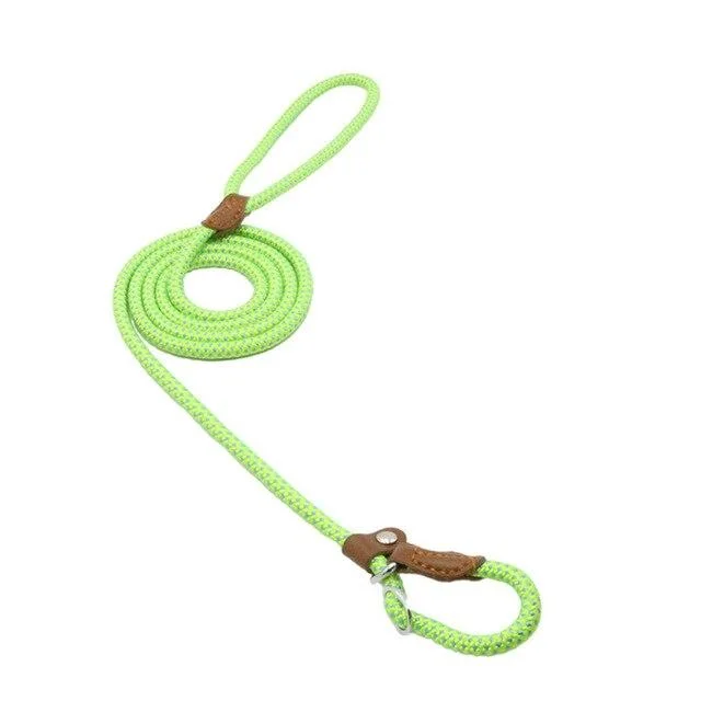 Strong and Sturdy Nylon Dog Collar, Lead, P Type Green - Shop at LoveMi