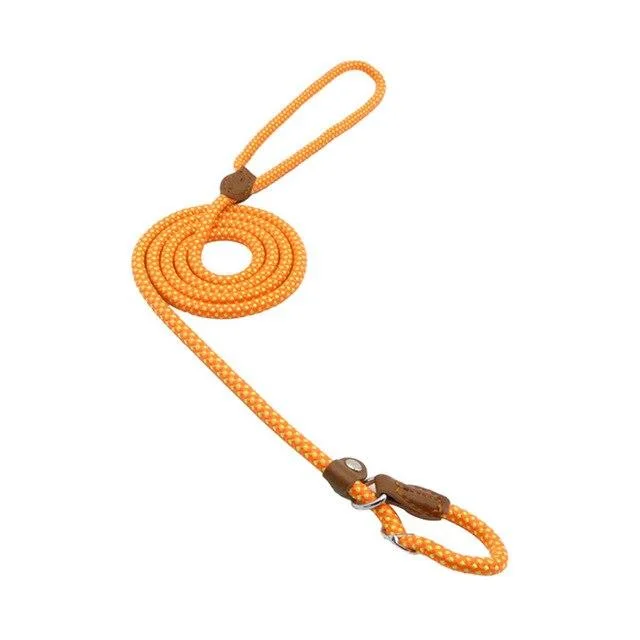 Strong and Sturdy Nylon Dog Collar, Lead, P Type Orange - Shop at LoveMi