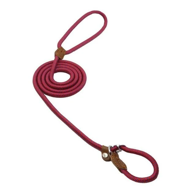 Strong and Sturdy Nylon Dog Collar, Lead, P Type Rose Red - Shop at LoveMi
