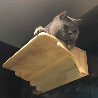 Wall mounted wooden cat litter Lacquer - Shop at LoveMi