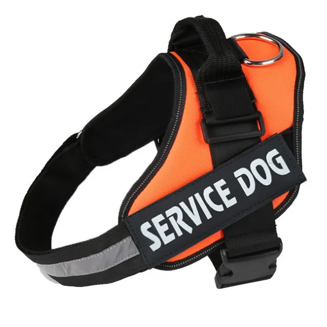 Strong Nylon Reflective Strip Pet Traction Chest Strap Orange - Shop at LoveMi