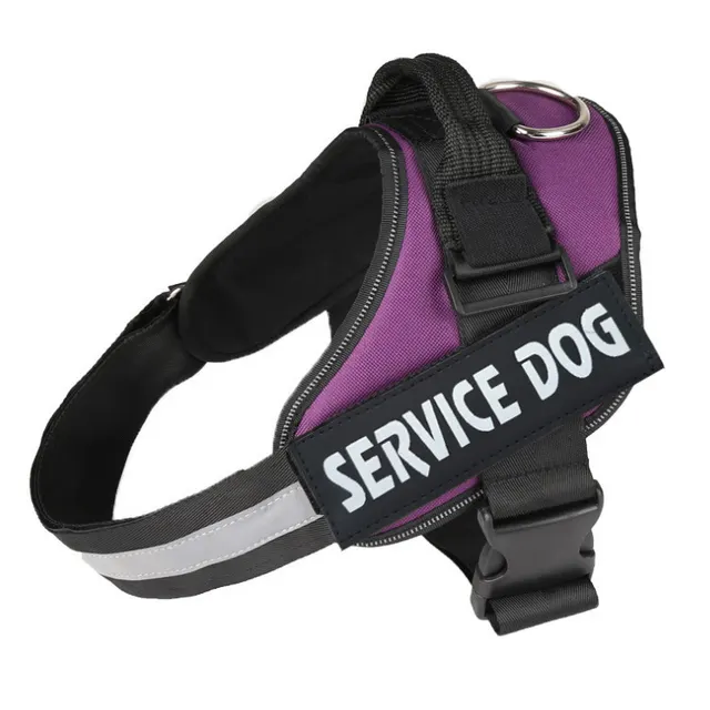Strong Nylon Reflective Strip Pet Traction Chest Strap Purple - Shop at LoveMi
