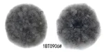 1Bt0906