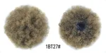 1Bt27
