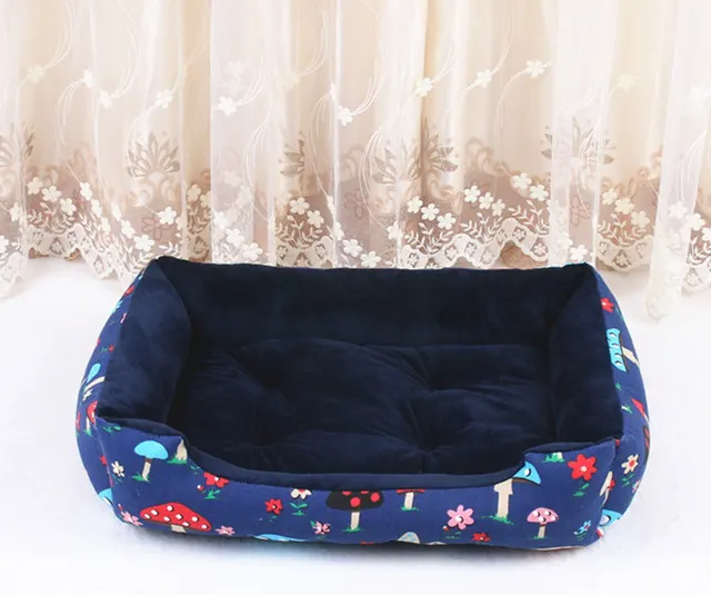 Teddy cat litter Blue Mushroom - Shop at LoveMi