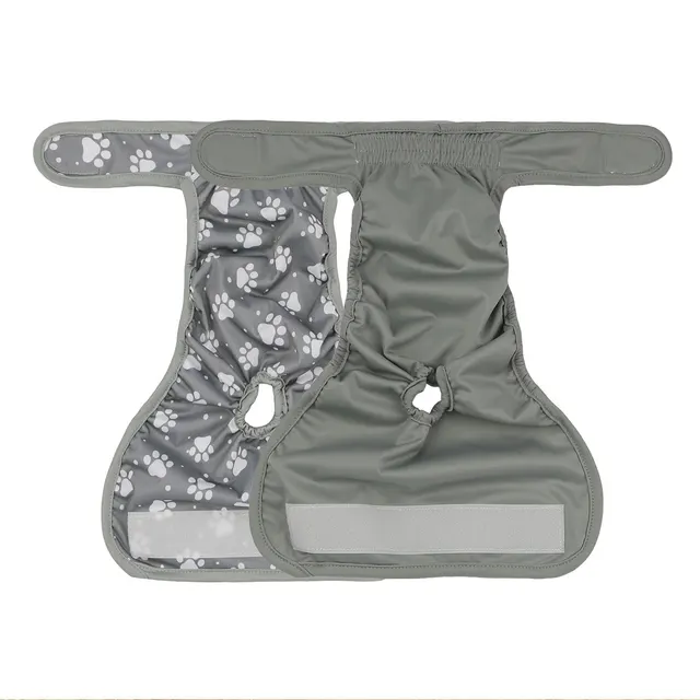 Hot dog physiological pants suit Grey 2Pcs - Shop at LoveMi