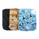 Toucan Dragonfly 3Piece Set