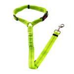 Fluorescent Green