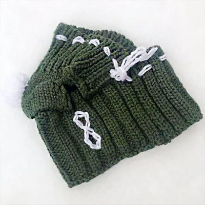 Funny woolen hat for pets to keep warm in winter Green - Shop at LoveMi