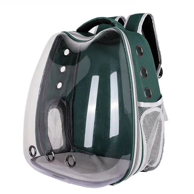 Cat Bag Transparent Outgoing Bag Portable Cat Green B - Shop at LoveMi