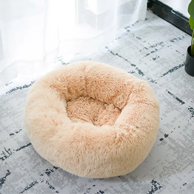 Good Pet Bed with Custom Box Apricot - Shop at LoveMi