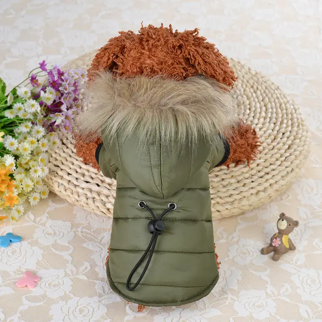Pet clothing winter down padded jacket Green - Shop at LoveMi