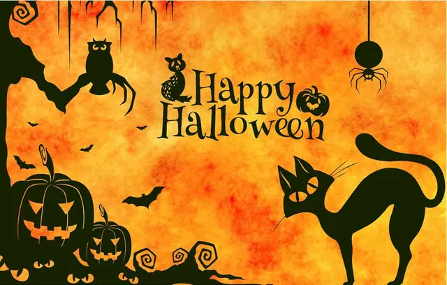 Happy Halloween Stylish 30 20 - 45X30
